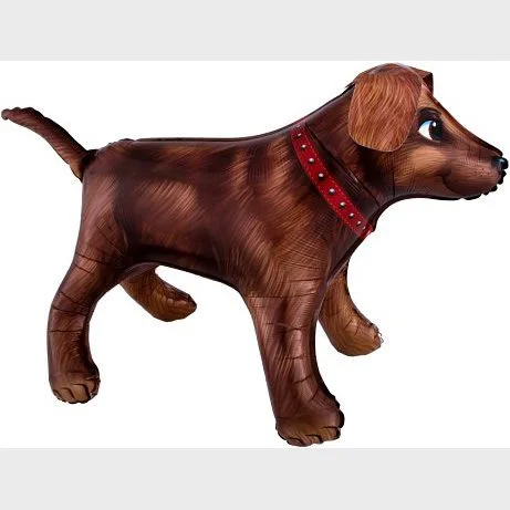 Golden Dog
