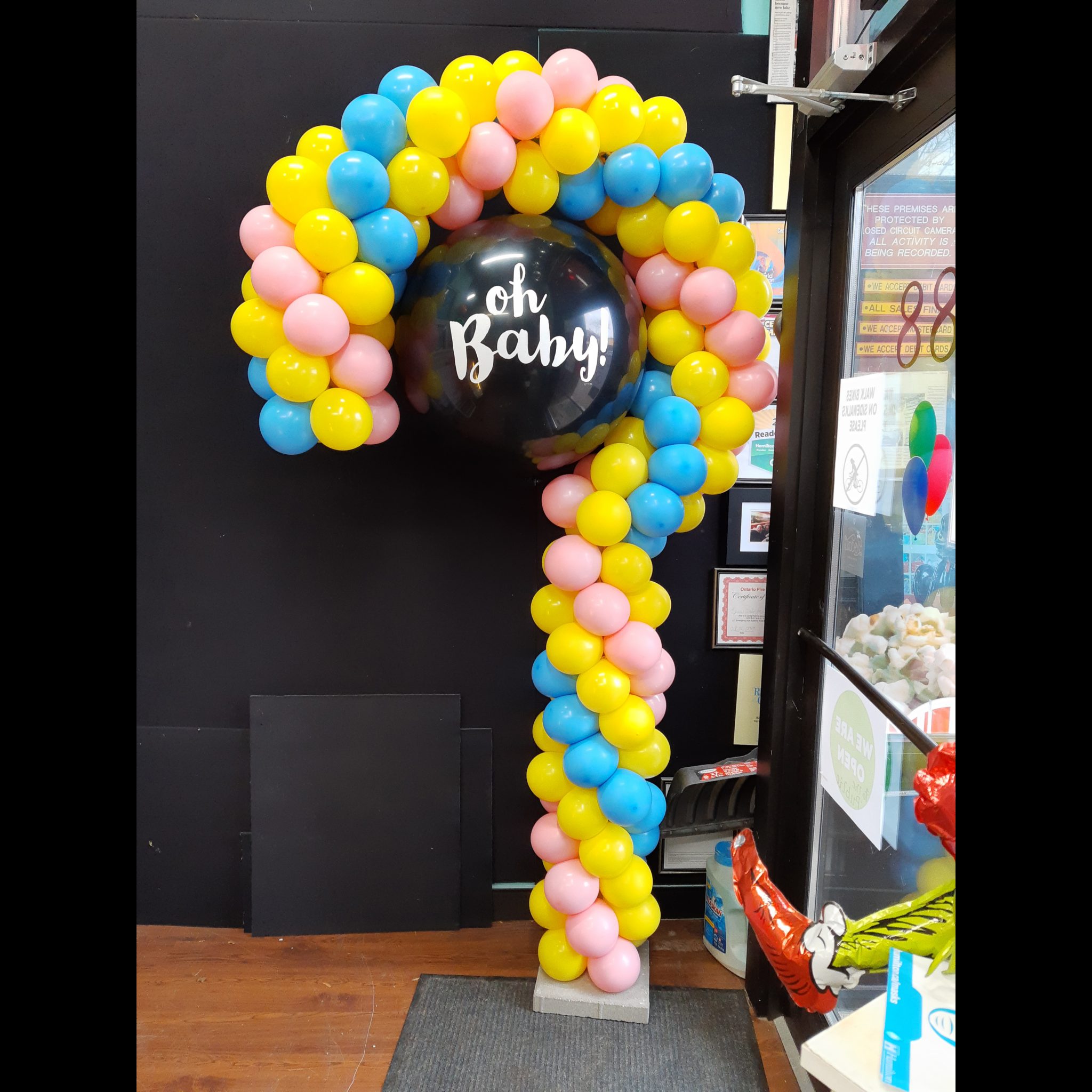 Kerry's Party For Less Hamilton Balloons & Party Supplies