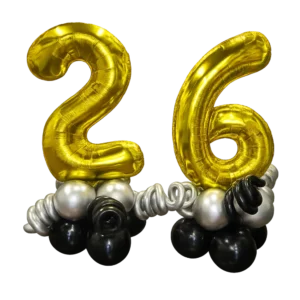 Last 2 Digits of Year Air-filled Display